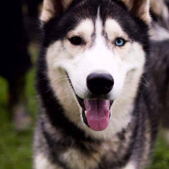 Meet your Posher, Joan - Picture 11 of 15